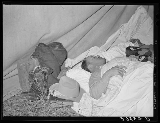 Rancher asleep. Quarter Circle 'U' Ranch roundup. Big Horn County, Montana