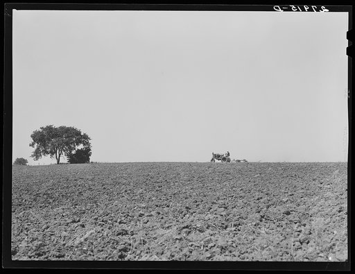 Harrowing a plowed field. Jasper County, Iowa