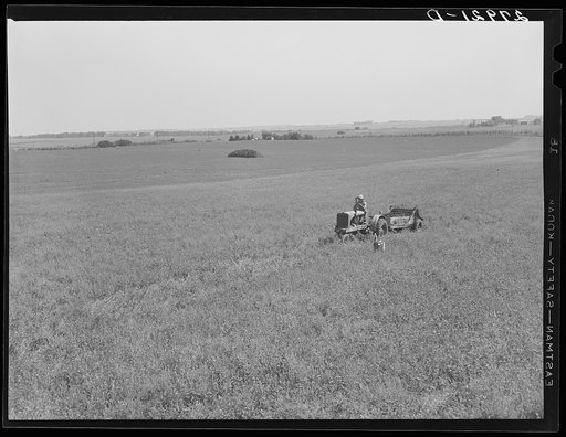 Spreading manure. Kimberley farm, Jasper County, Iowa