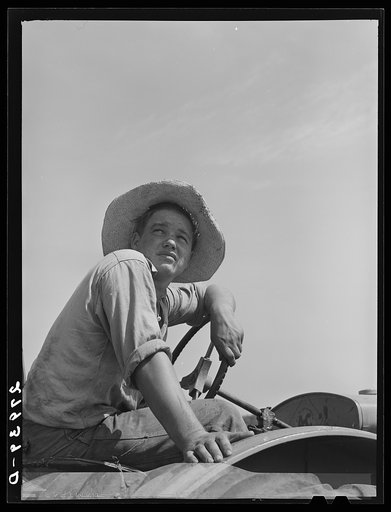 Untitled photo, possibly related to: Bud Kimberley, a future farmer of America, driving a tractor. Jasper County, Iowa