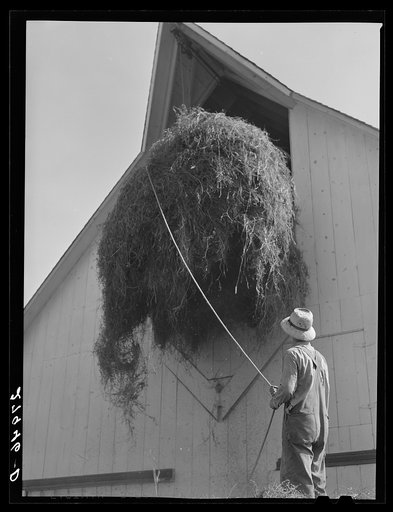 Untitled photo, possibly related to: Filling the hayloft. Maxwell farm, Jasper County, Iowa