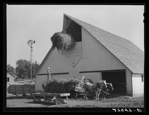 Filling the hayloft. Maxwell farm, Jasper County, Iowa