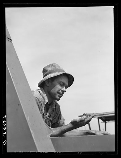 Untitled photo, possibly related to: Timothy seed. Jasper County, Iowa