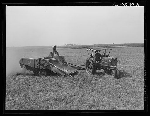 Untitled photo, possibly related to: Harvesting timothy seed with combine. Jasper County, Iowa
