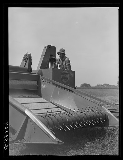 Combine harvester for timothy grass seed. Jasper County, Iowa