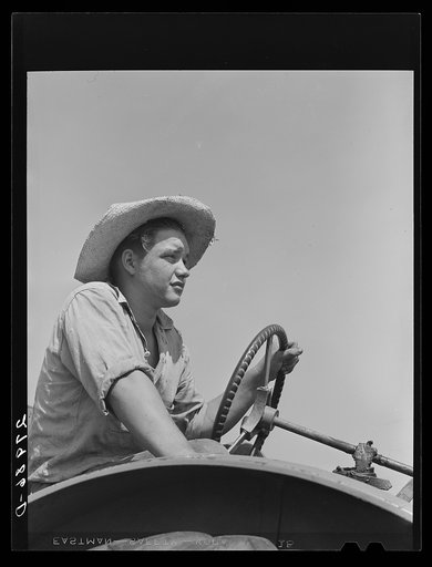 Bud Kimberley, a future farmer of America, driving a tractor. Jasper County, Iowa