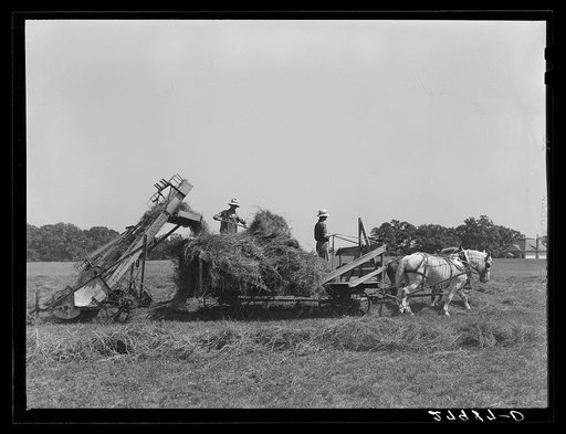 Automatic hay-loader. Maxwell farm, Jasper County, Iowa