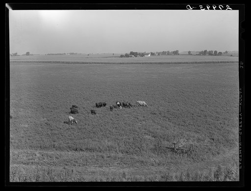 Farm. Hardin County, Iowa