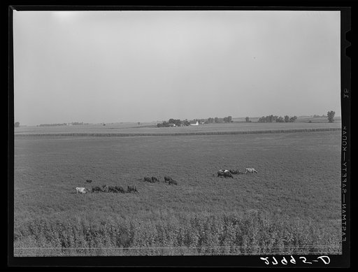 Untitled photo, possibly related to: Farm. Hardin County, Iowa