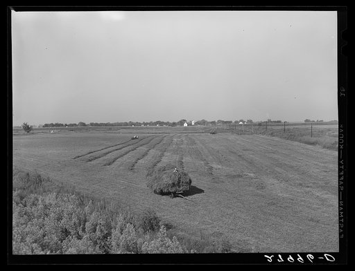 Hay meadow. Hardin County, Iowa