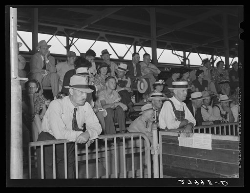 Spectators at judging of Poland China boars. Iowa State Fair, Des Moines, Iowa