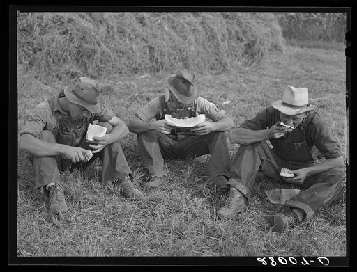 Hired hands eating watermelon. Kimberley farm, Jasper County, Iowa