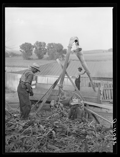 Untitled photo, possibly related to: Grinding corn for cattle feed. Leo Gannon farm, Jasper County, Iowa