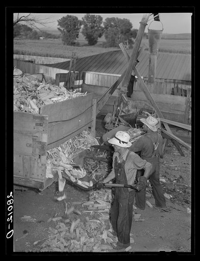Grinding corn for cattle feed. Leo Gannon farm, Jasper County, Iowa
