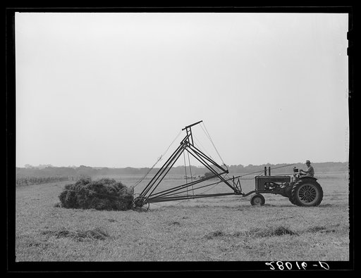 Untitled photo, possibly related to: Loading hay with a jayhawk. Kimberley farm, Jasper County, Iowa