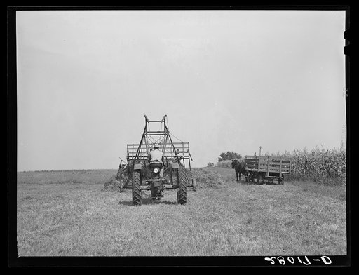 Untitled photo, possibly related to: Loading hay with a jayhawk. Kimberley farm, Jasper County, Iowa