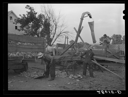 Untitled photo, possibly related to: Grinding corn for cattle feed. Leo Gannon farm, Jasper County, Iowa