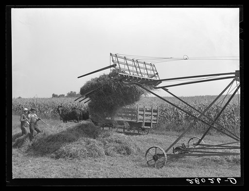 Loading hay with a jayhawk. Kimberley farm, Jasper County, Iowa