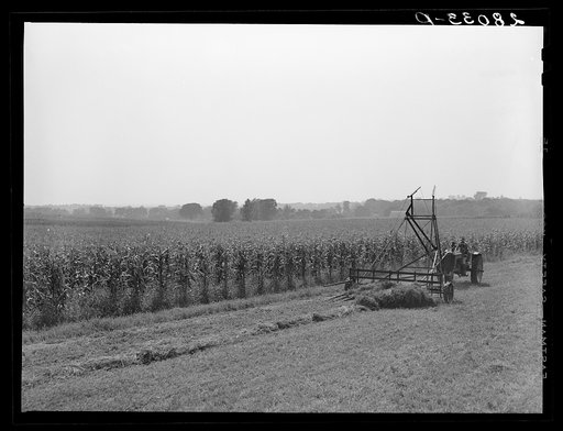 Jayhawk hayloader on Kimberley farm. Jasper County, Iowa