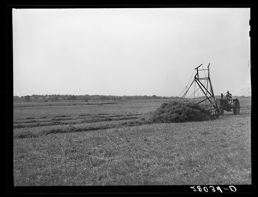 Loading hay with a jayhawk. Kimberley farm, Jasper County, Iowa