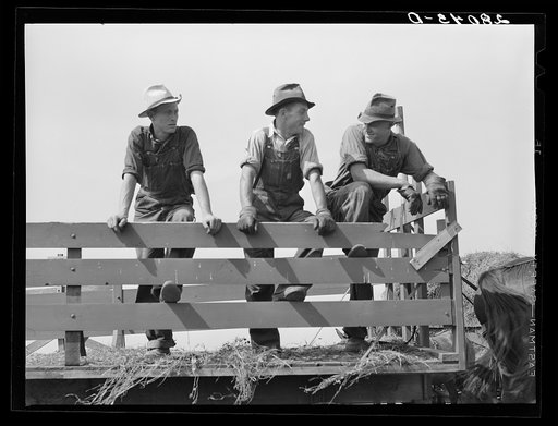 Untitled photo, possibly related to: Hired hands. Kimberley farm, Jasper County, Iowa