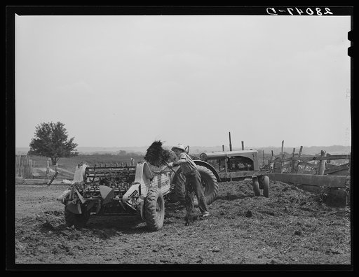 Loading manure spreader. Kimberley farm, Jasper County, Iowa