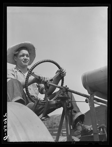 Bud Kimberley drives tractor. Jasper County, Iowa