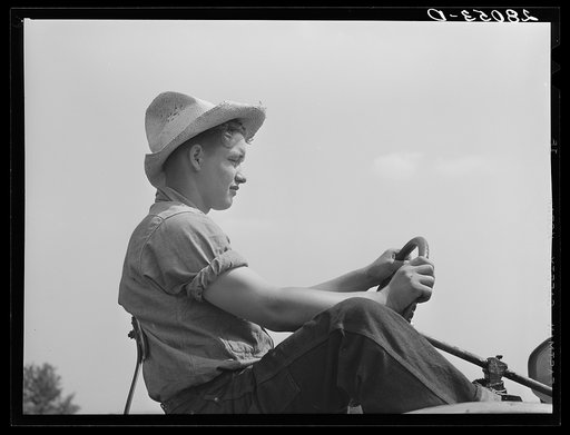Untitled photo, possibly related to: Bud Kimberley drives tractor. Jasper County, Iowa