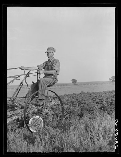 Martin Ryken driving ten-horse team. Hardin County, Iowa