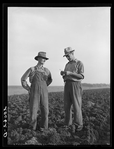 Farmers in plowed field. Ryken farm, Hardin County, Iowa