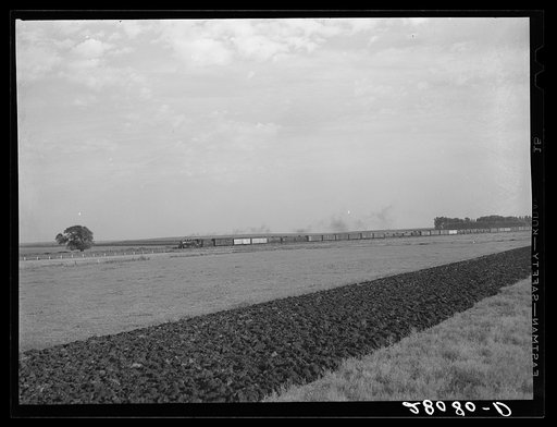 Freight train and plowed field. Hardin County, Iowa