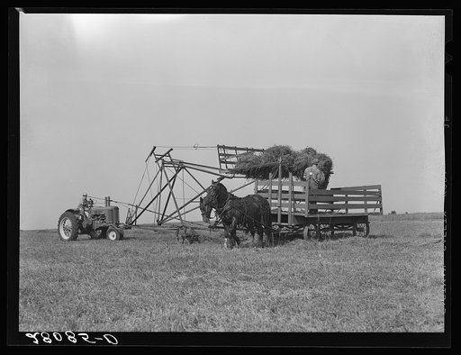 Operating a jayhawk hayloader. Kimberley farm, Jasper County, Iowa
