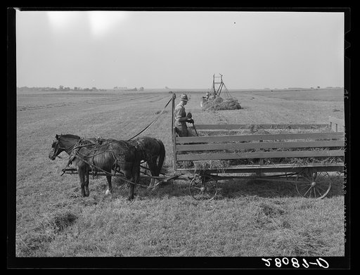 Loading hay into wagon with jayhawk. Kimberley farm, Jasper County, Iowa