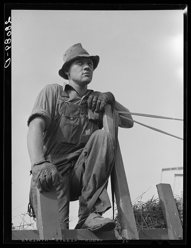 Hired hand. Kimberley Farm, Jasper County, Iowa