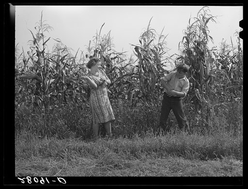Corn fight between Margaret and Howard Kimberley. Jasper County, Iowa