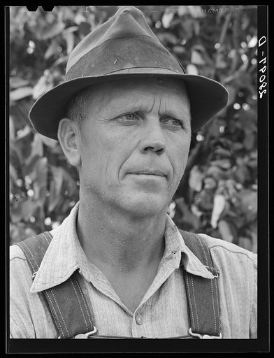 Henry Lundgren, manager of dairy farm. Dakota County, Minnesota