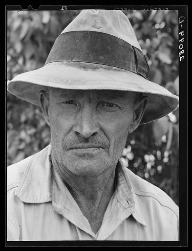Hired hand on dairy farm. Dakota County, Minnesota