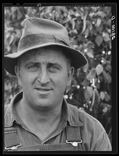 Hired hand on dairy farm. Dakota County, Minnesota
