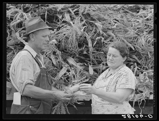 Henry Lundgren, manager of dairy farm, with wife. Dakota County, Minnesota