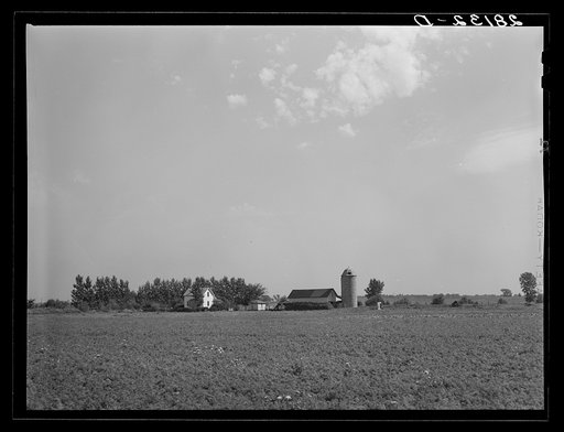 Barn. Rice County, Minnesota