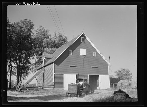 A load of hybrid corn taken into the corn-crib. Robinson farm, Marshall County, Iowa