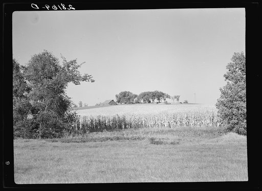Untitled photo, possibly related to: Farm. Marshall County, Iowa