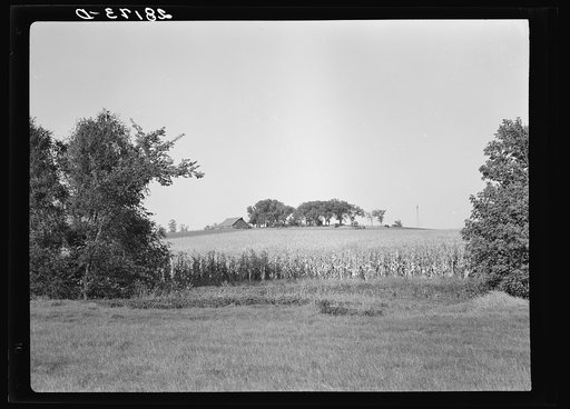 Farm. Marshall County, Iowa
