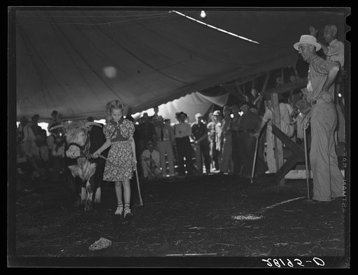 Untitled photo, possibly related to: Auction of 4-H Club baby beeves. Central Iowa Fair, Marshalltown, Iowa