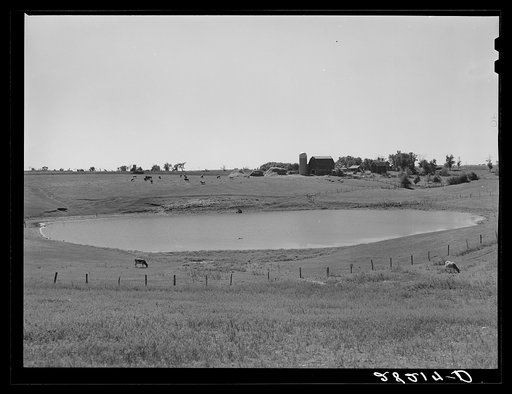 Farm. Worth County, Iowa