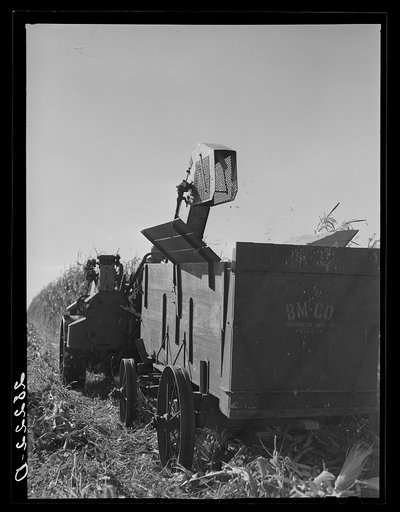 Untitled photo, possibly related to: Mechanical corn picker harvesting hybrid seed corn. Robinson farm, Marshall County, Iowa