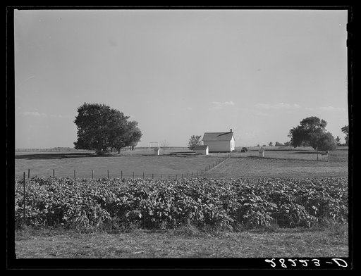 School house. Marshall County, Iowa