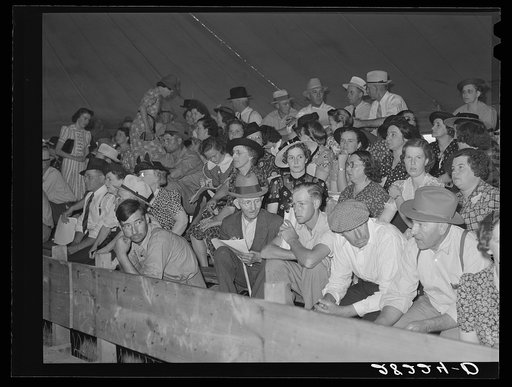 Farm people at livestock auction. Central Iowa Fair, Marshalltown, Iowa