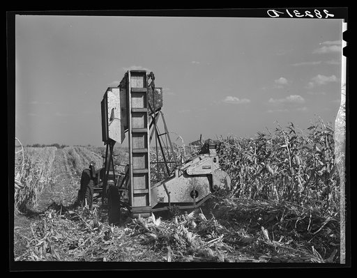 Untitled photo, possibly related to: Cone-row puller type of mechanical corn picker. Robinson farm, Marshall County, Iowa
