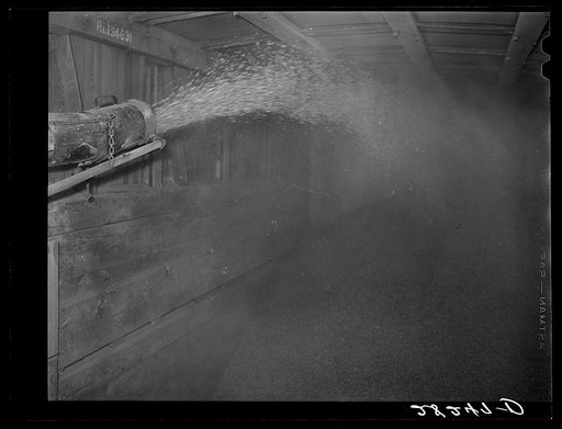 Untitled photo, possibly related to: Filling a boxcar with shelled corn from elevator. Grundy Center, Iowa. Farmers' cooperative elevator